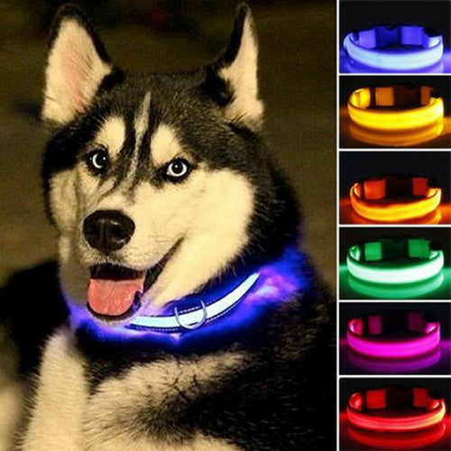 2 PCS Set Nylon LED Dog Collar - Blue