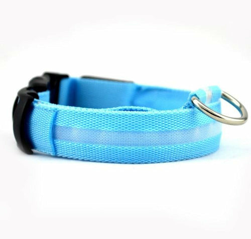 2 PCS Set Nylon LED Dog Collar - Blue